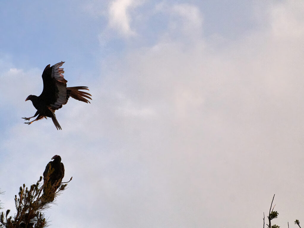 will not go away: it will take you into