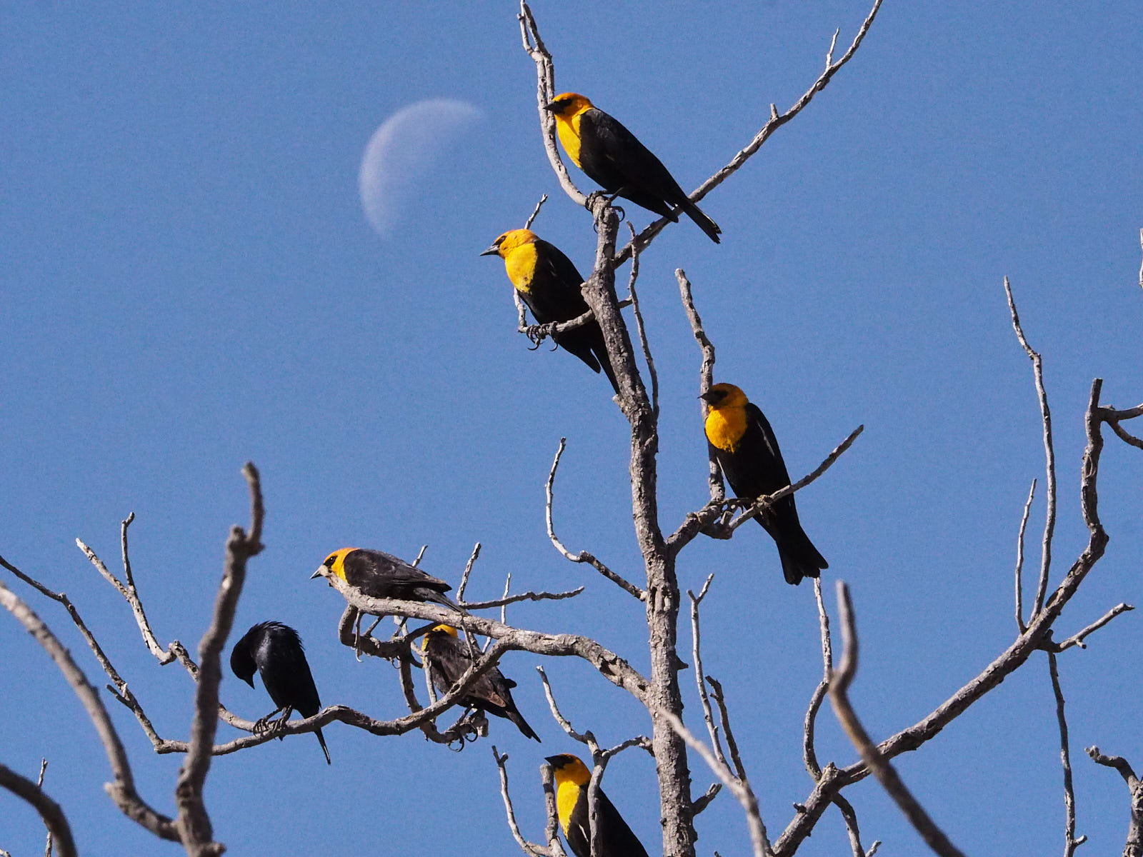 and live for awhile as though they expected life