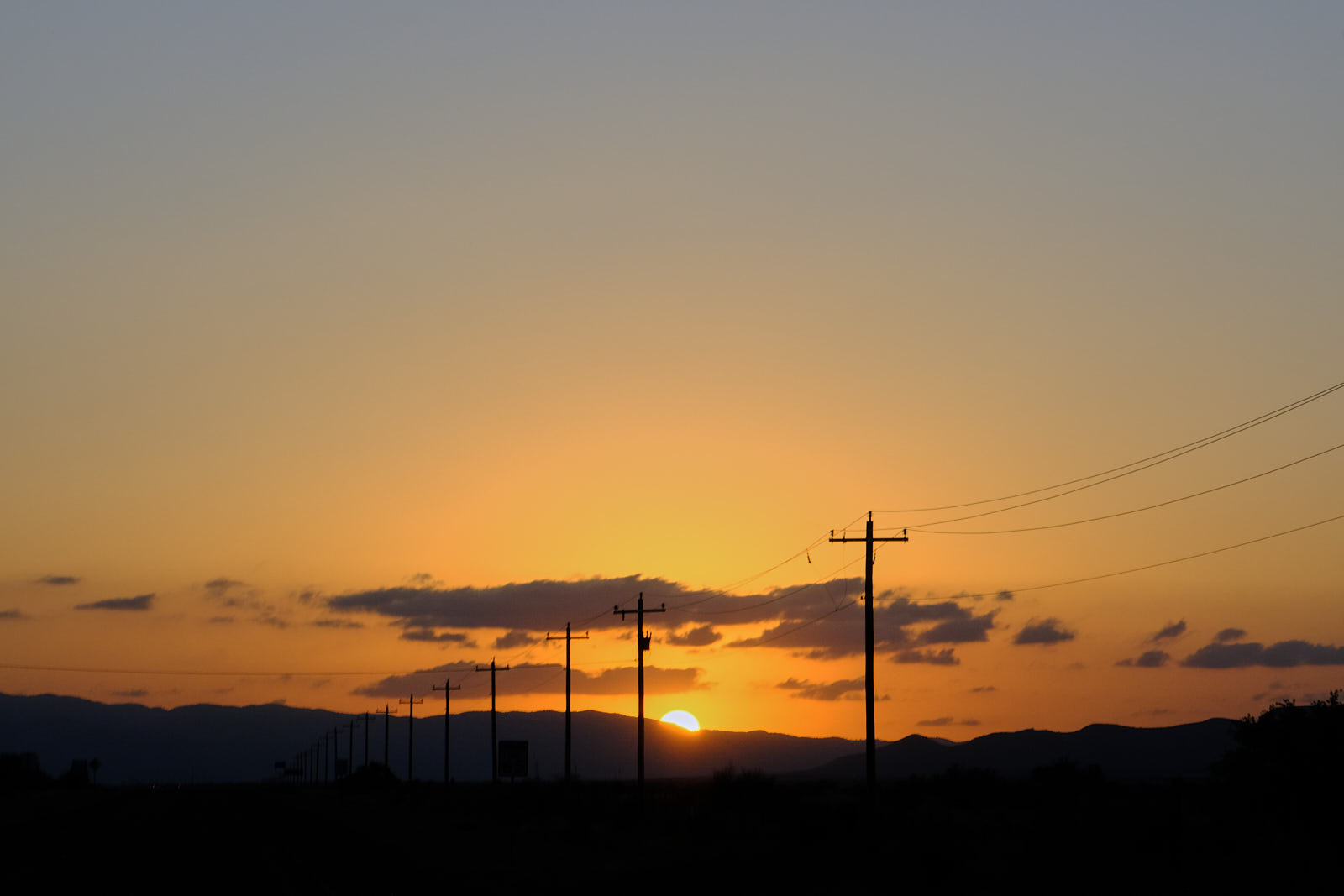 Keep watching, as only rods and cones remain.