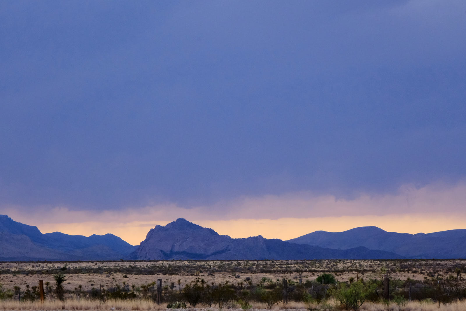 I am soft quitting the spectacle