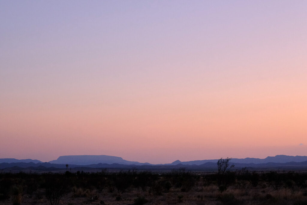 life is a home video