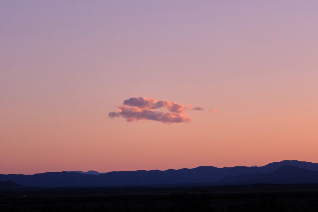 I am the horse that you should bet on