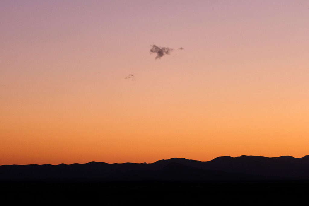 When you put your money down —Dorothea Lasky