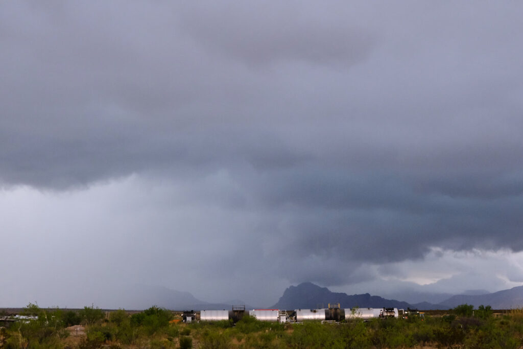 and got colder. A flock of birds