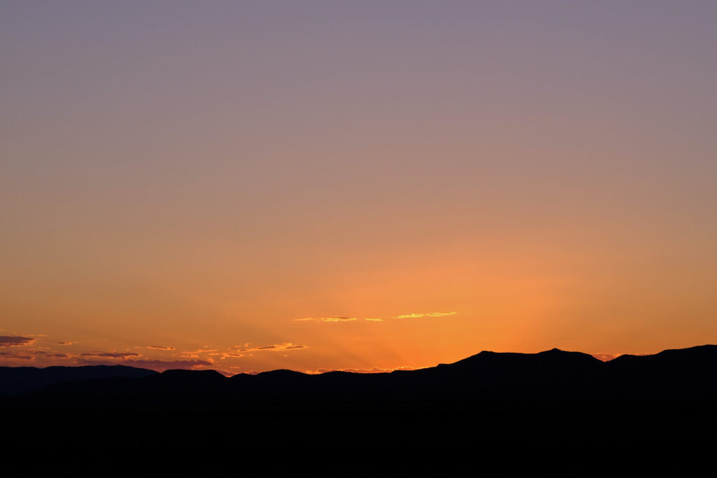 squeaked in a tree. I dreamed —Martha Silano