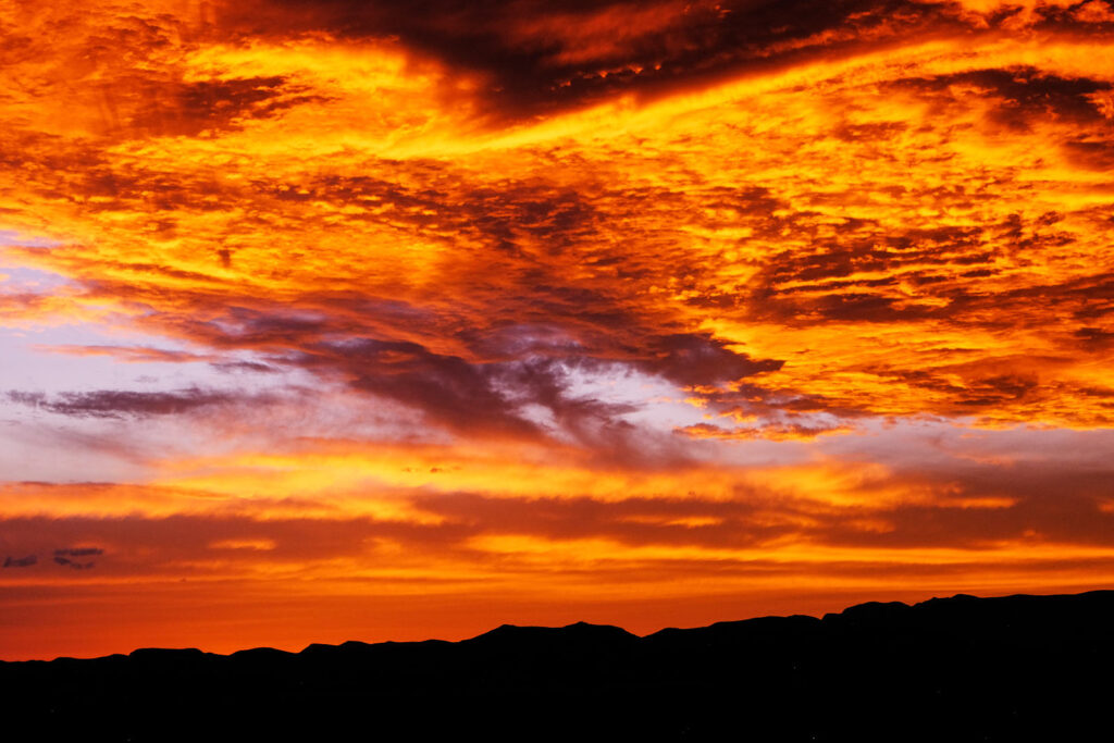 And life goes  on and dawn and dawn, —Stephin Merritt