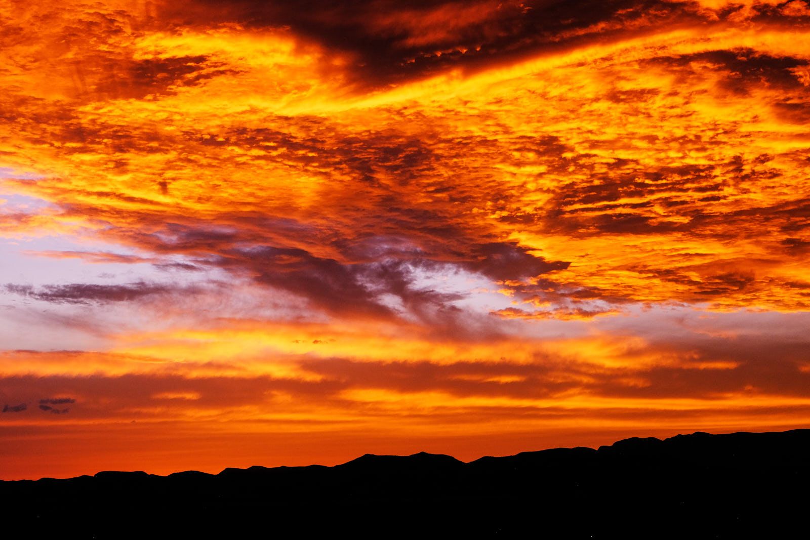 Who’ll take its ashes and,