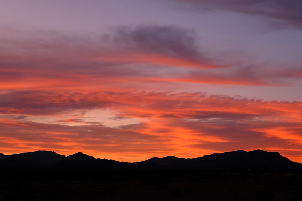 that does not bring you alive