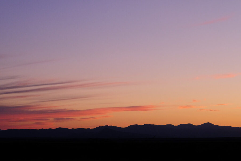 the heart? —Vievee Francis