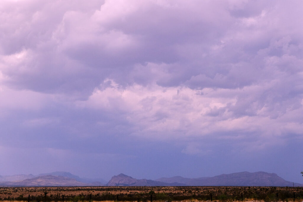 Thing. That the page is waste, all that rag —Lucie Brock-Broido