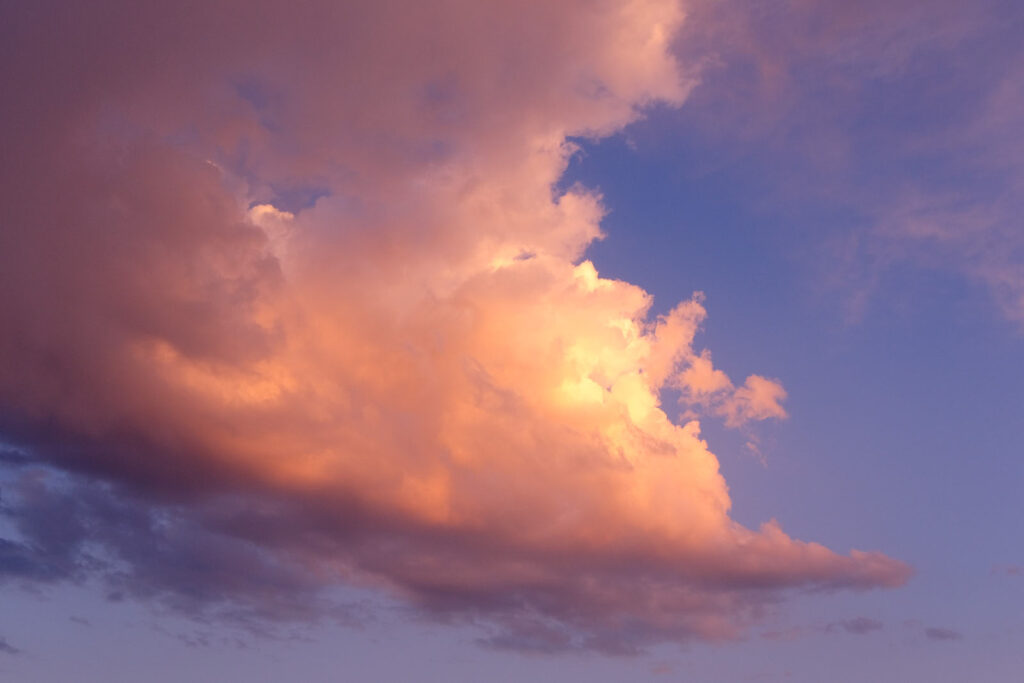 Or a bird unravels its song and carries me 