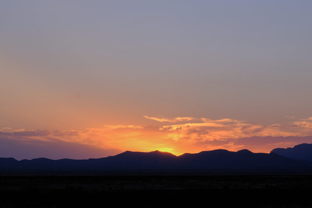 as it flies deeper and deeper into the woods. —William Stafford