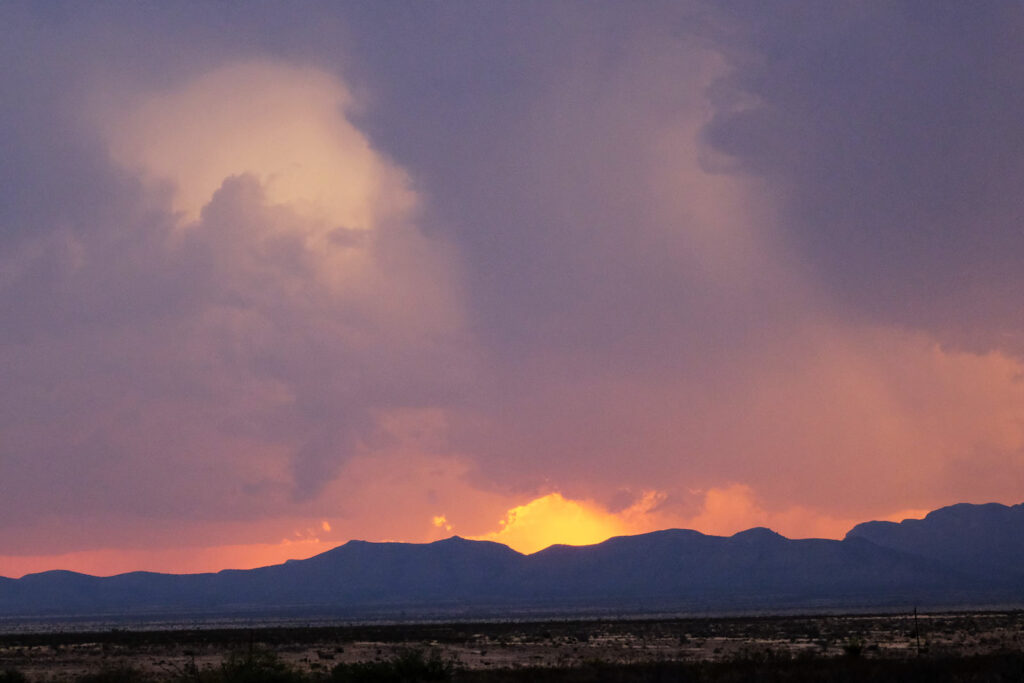 reaching like stars almost but never quite