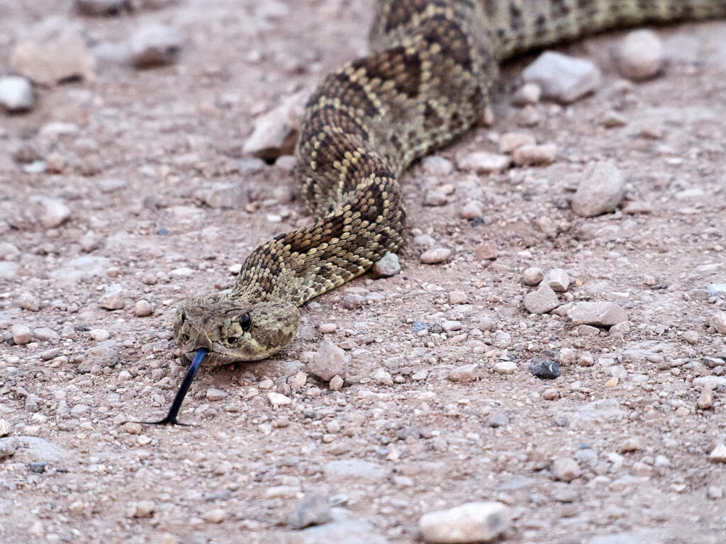 We’re from —William Miller