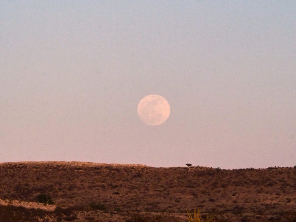 what I want is less clear to me