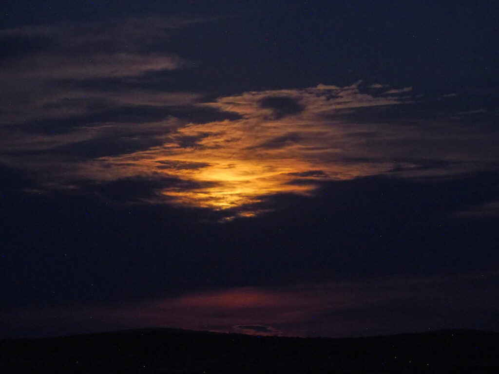 fall in love. —Olena Kalytiak Davis