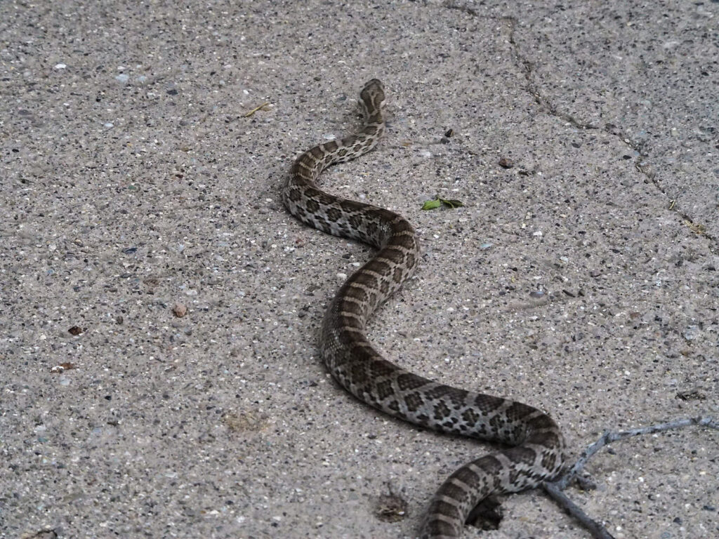 I have come to the same