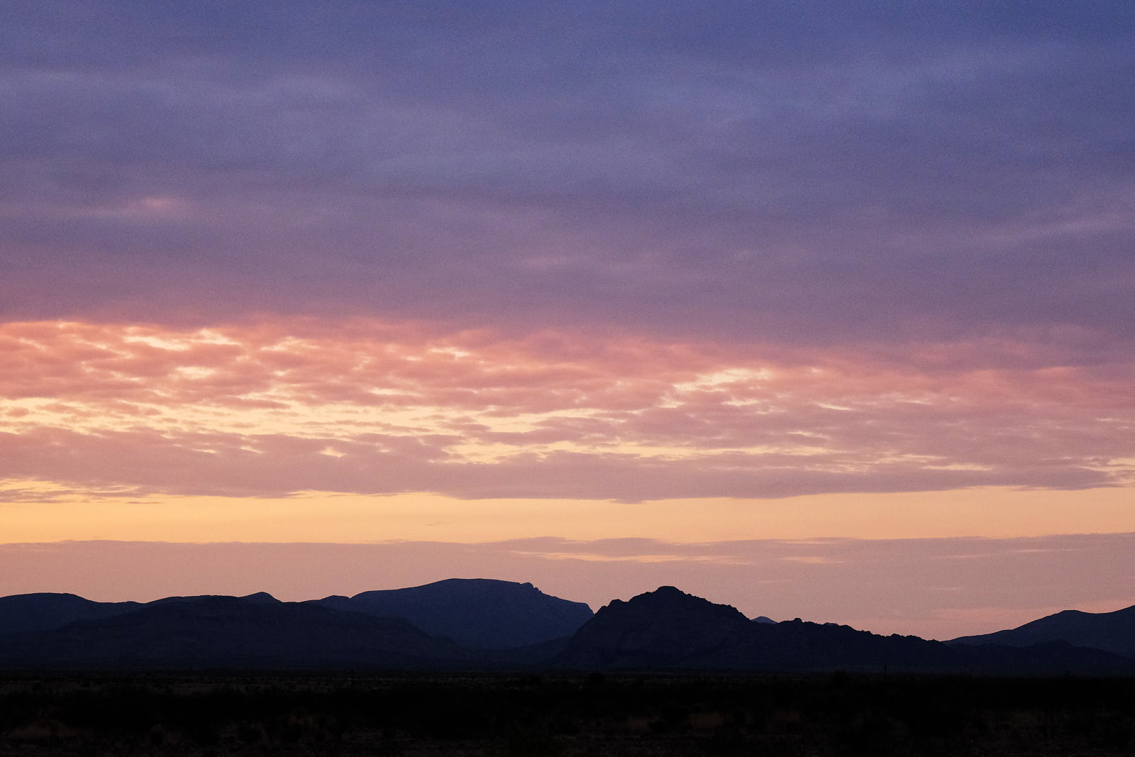 Someone should play me