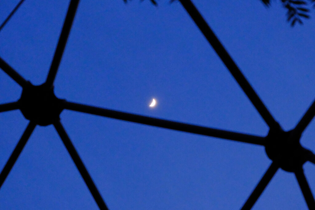 so we can grow tomatoes —Nicholas Bon