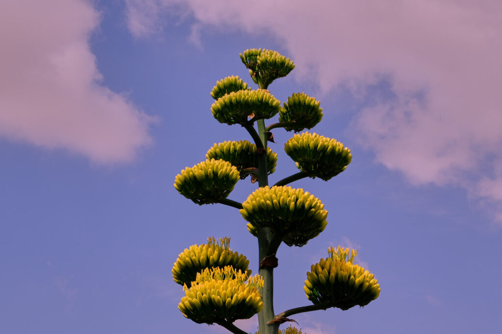 extract yourself, even from those that fly win