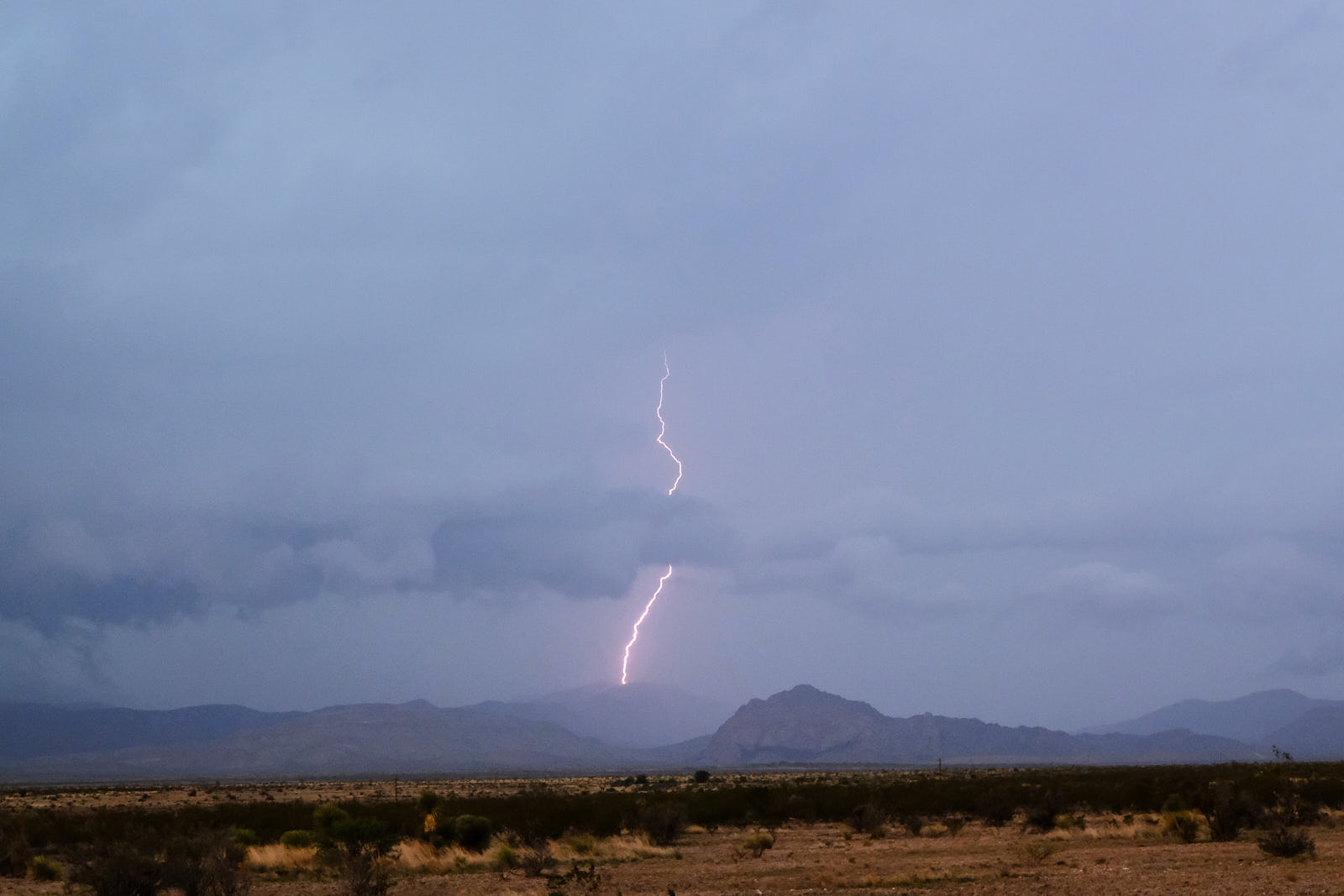 finally blew all the circuits.