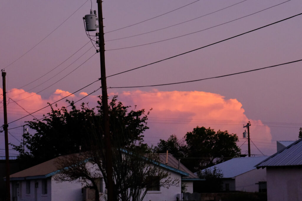 I came to the crowd for understanding —Nikki Giovanni