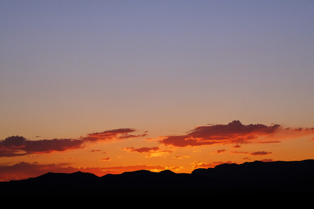 like little portals to the sun.