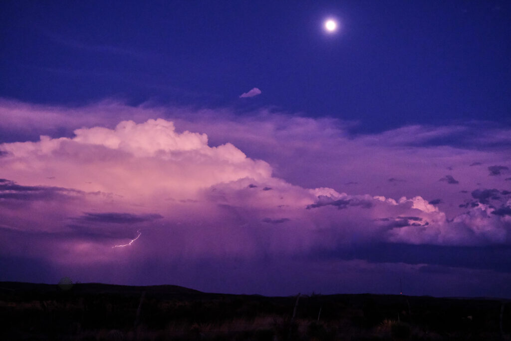 of dancers is a joy forever —Adam DeGraff