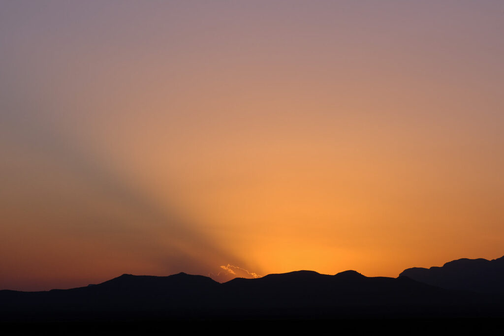 And understand as surfaces my dreams —Alice Notley