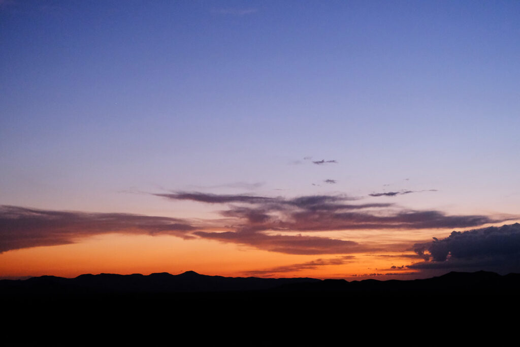 refuse silence when you can still sing —Diane di Prima