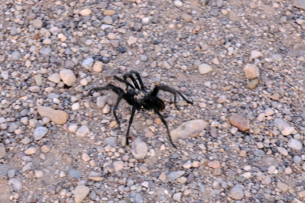 Perhaps this is what’s called