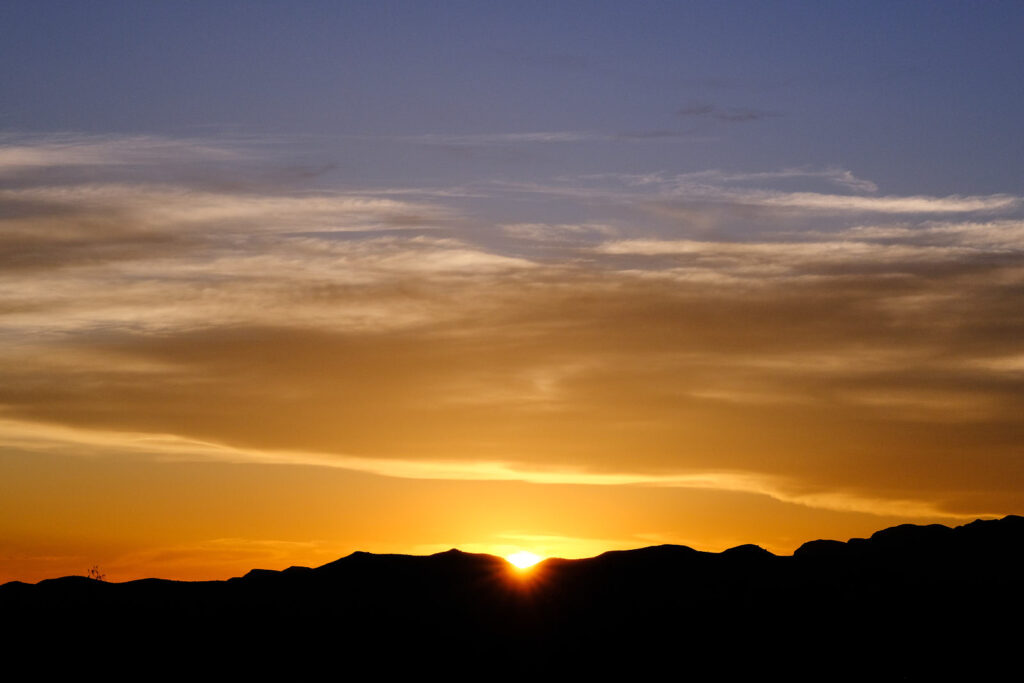 perhaps love is a small animal foraging
