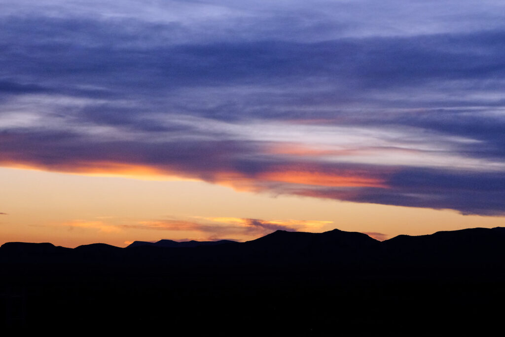 content entirely with its mouth there with the ant and the sun and fur —Peter Gizzi