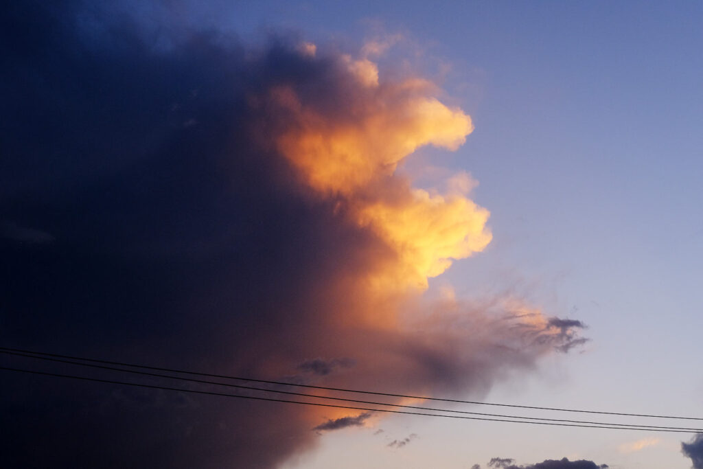 singing loud in my tangled hair —Harryette Mullen