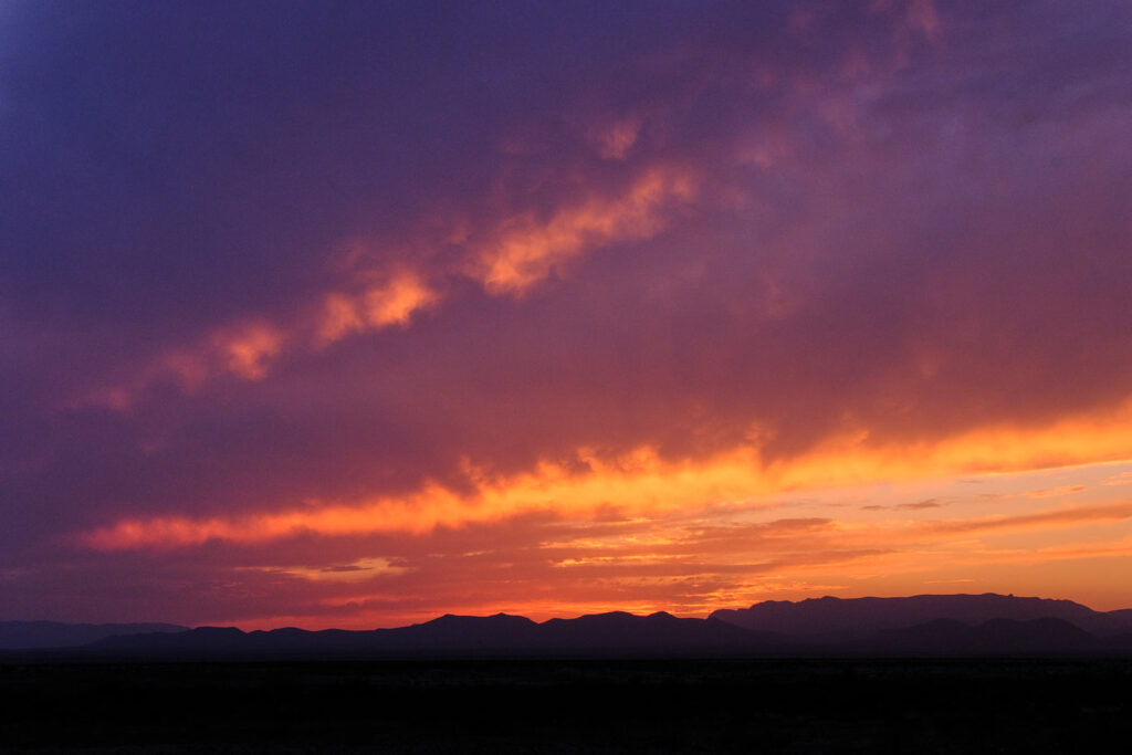 backlit and the fruits