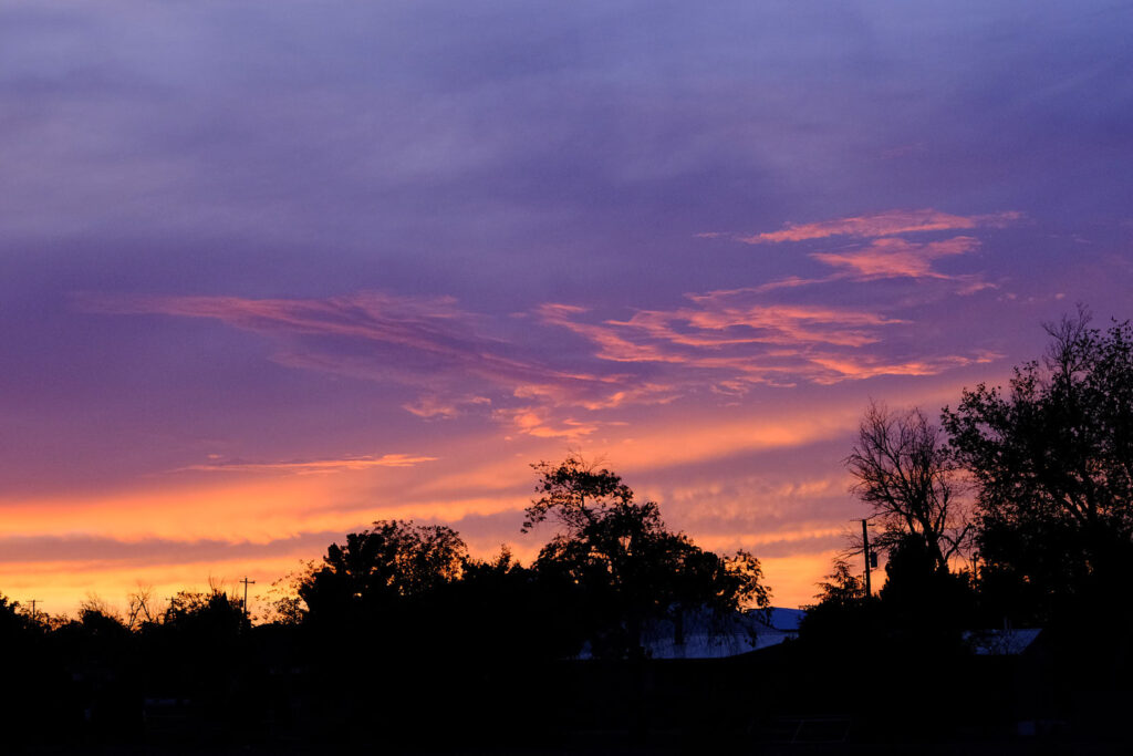 in a small sufficient apartment. —Lyn Hejinian