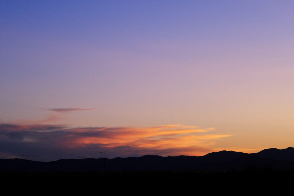 first burst of summer, still the thrill of it, the heat— —Deborah Landau 