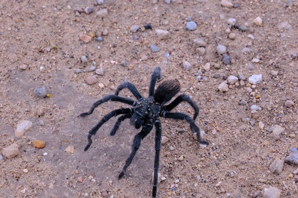 Or sunshine, love, salvation. —William Stafford