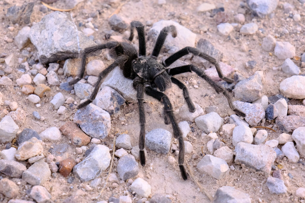 Life is hard enough as it is