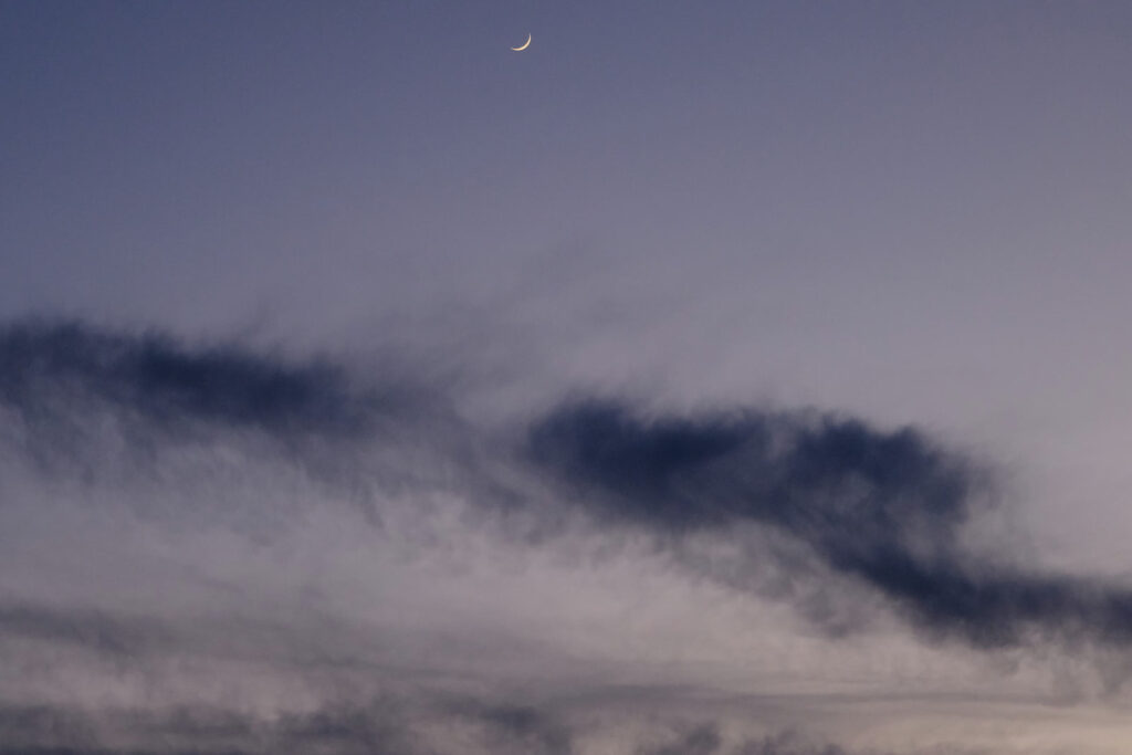 But shaking our heads in awe —Hera Lindsay Bird