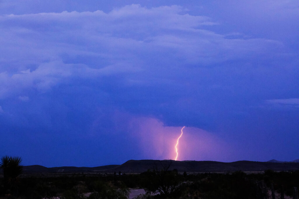 the birds go ah. What is luck if not for love, a very bright beluga. —Oliver Bendorf