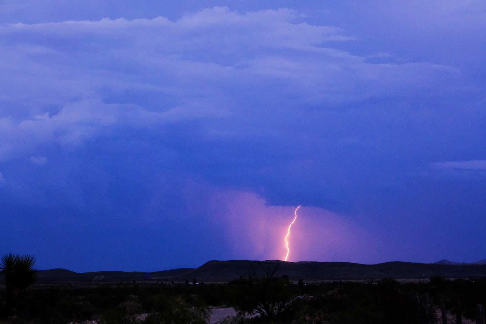 My want wants them all.