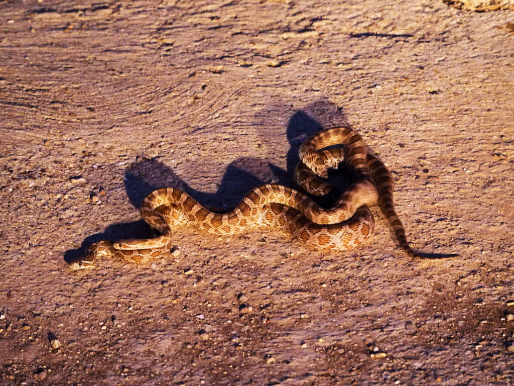 gravity's ample rain.
 —Rainer Maria Rilke, translated by Edward Snow