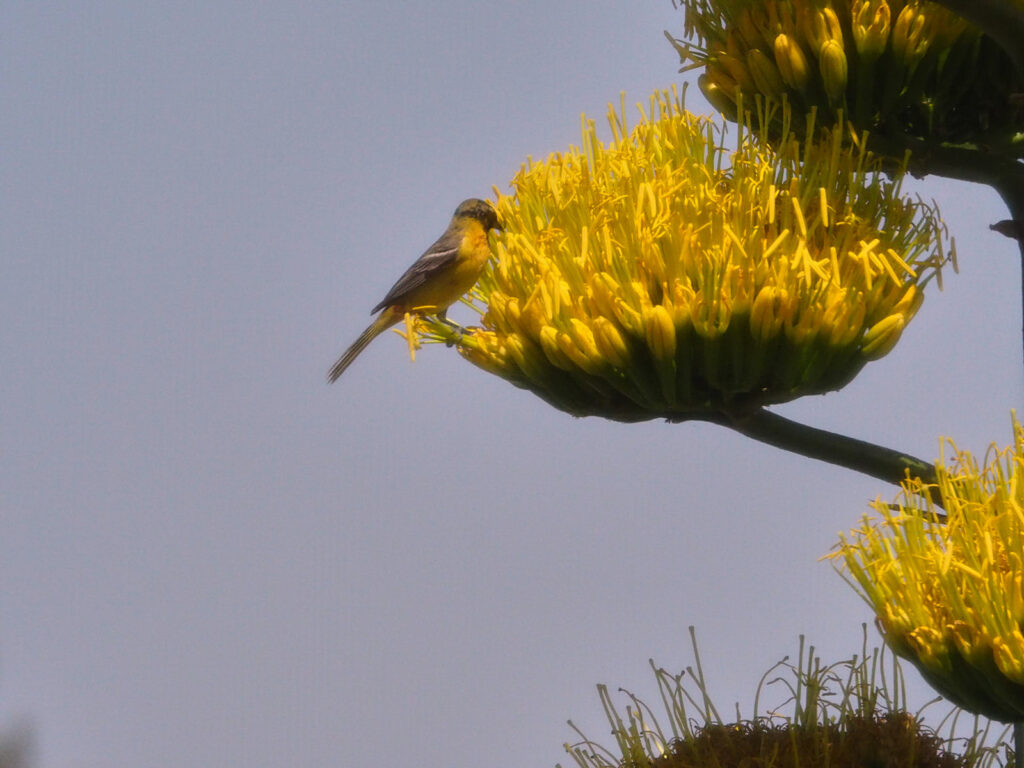 As beautiful or a movie stunning