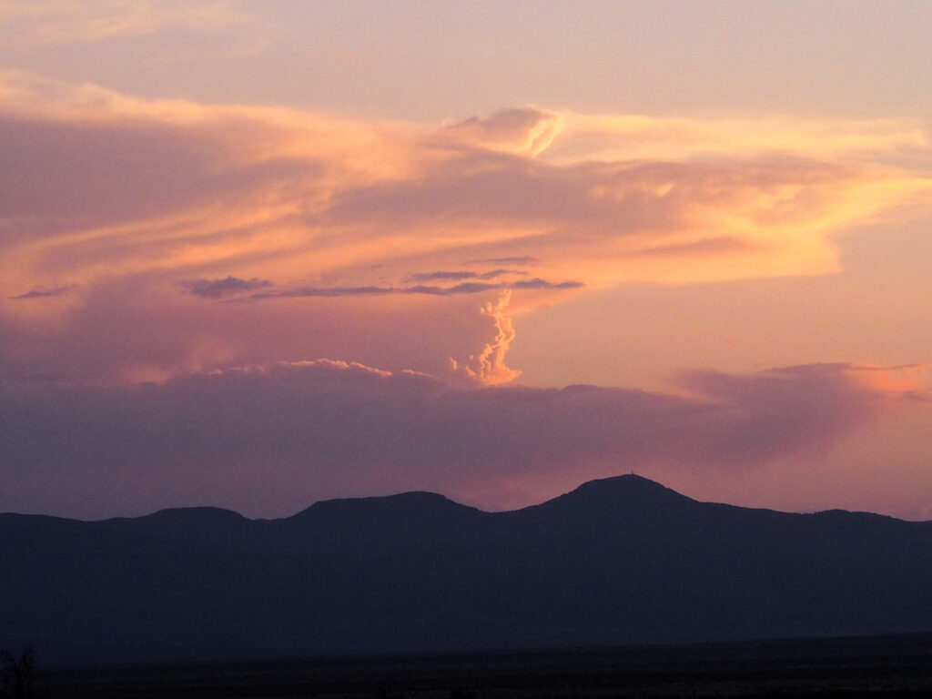 where the bar-headed goose flies