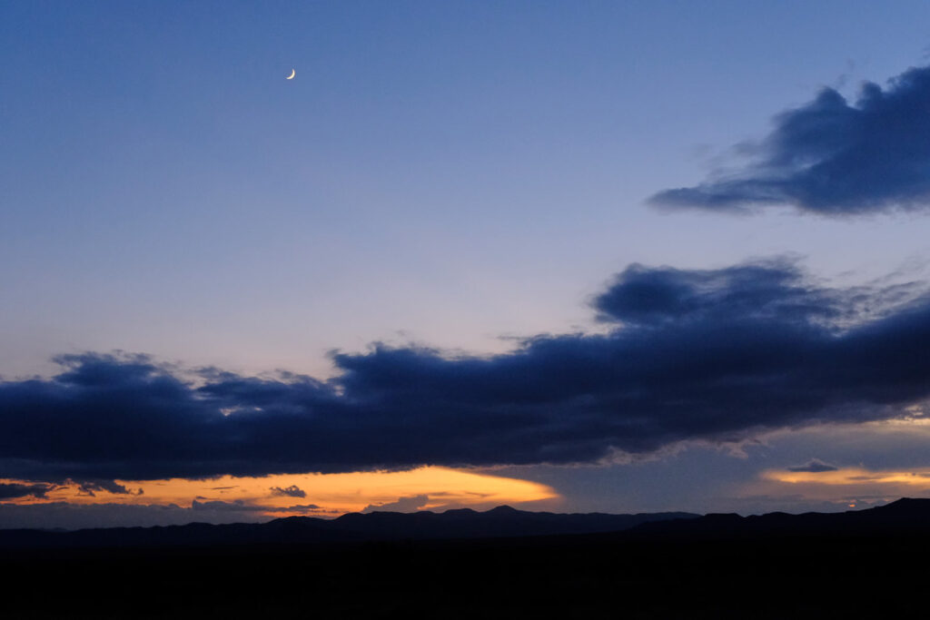 I destroy it. —Wisława Szymborska, translated by Maja Jablonska and Rick Hilles