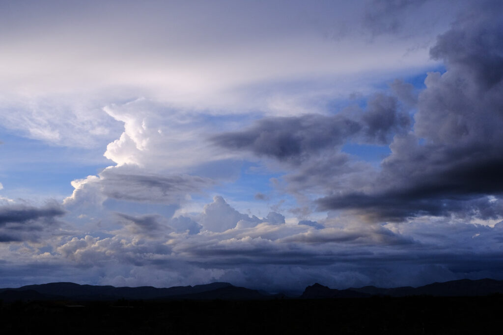 There is nothing more pathetic than caution