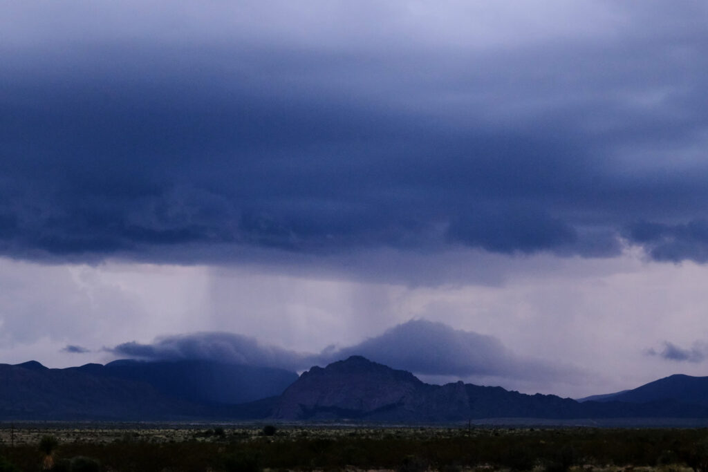 even possibly, your own. —Mary Oliver