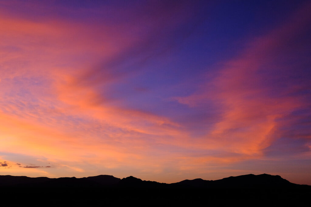 No sister-flower would be forgiven