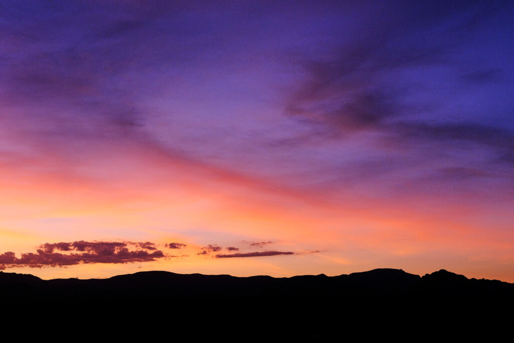 If it disdained its brother;